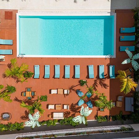 Samawa Living Hotel Paje Bagian luar foto